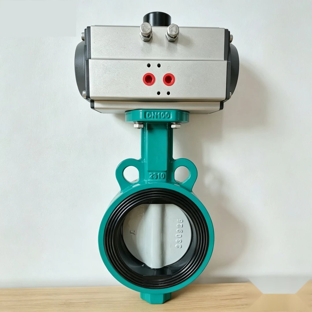 DN100 Lug Butterfly Valve (API 609)
