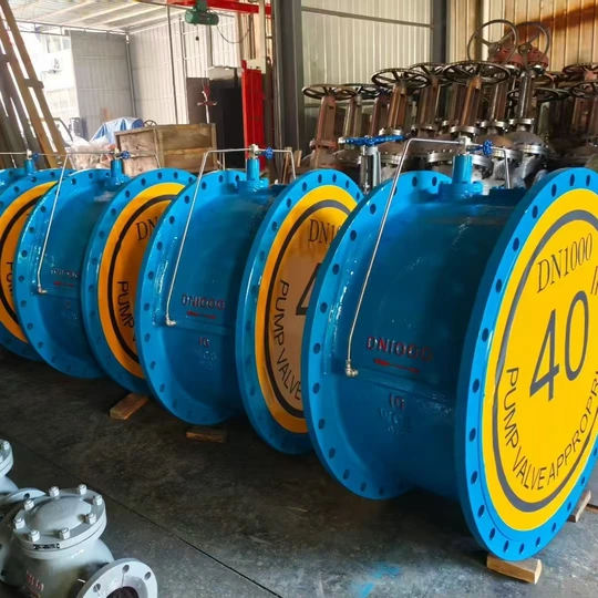 Swing Check Valve