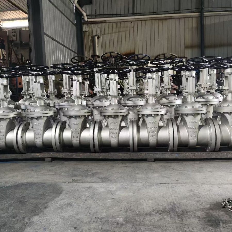 Rising Stem Flanged Gate Valve