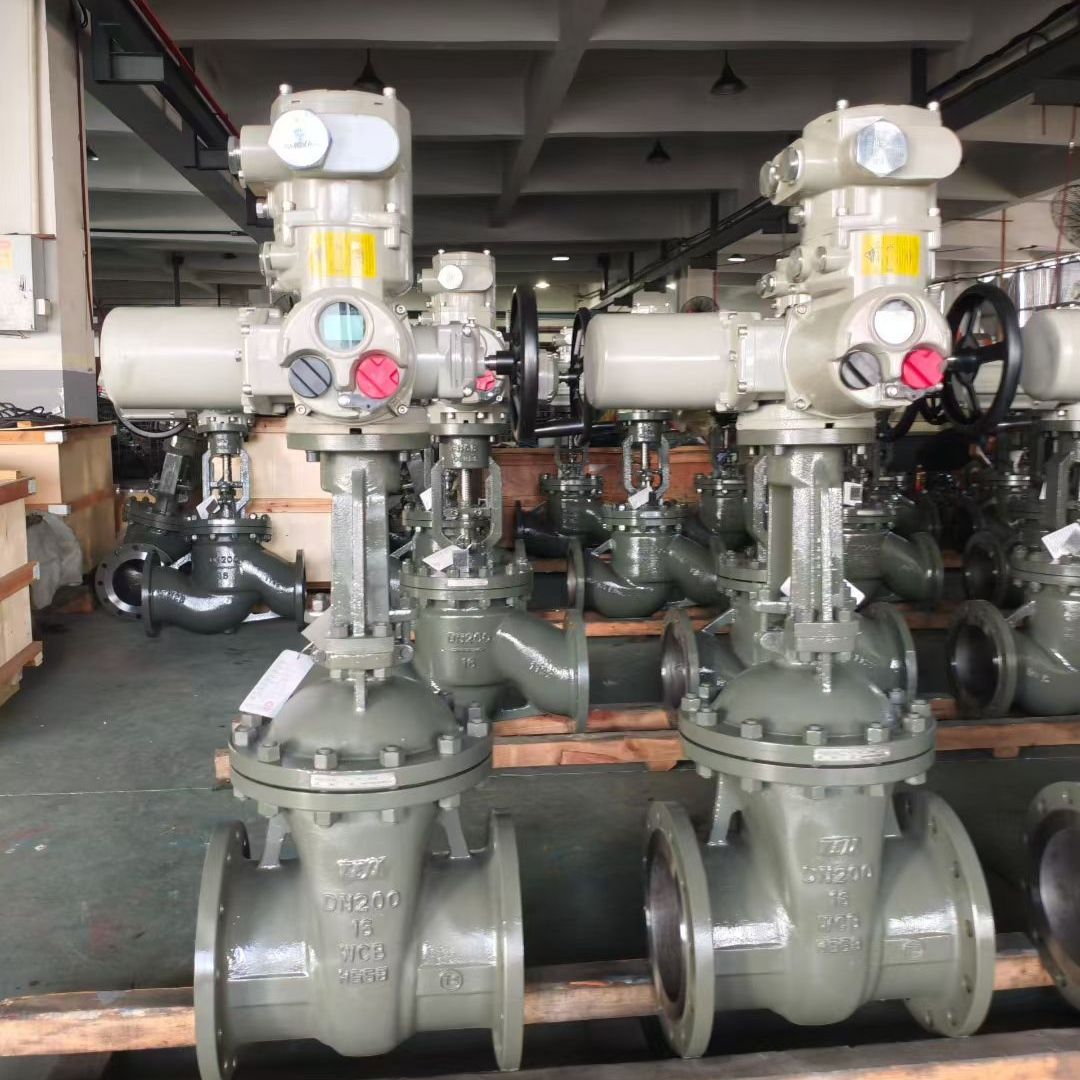 Parallel Slide Gate Valve