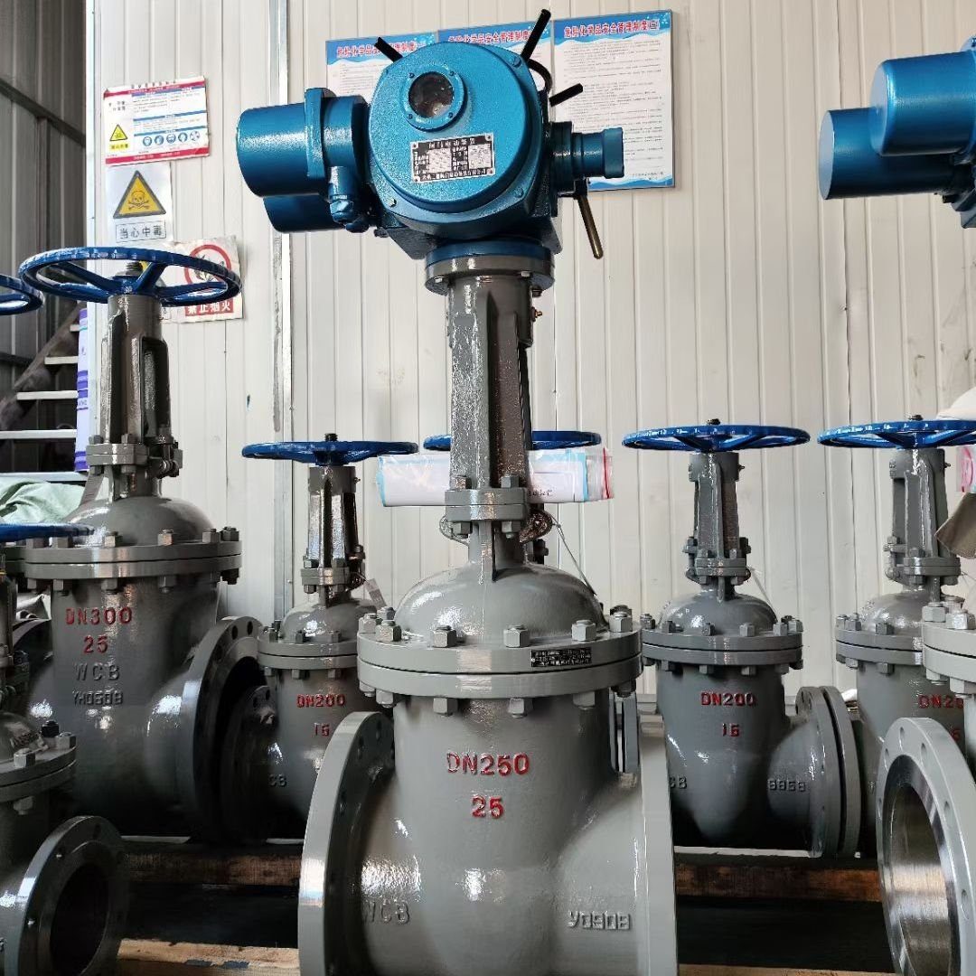 DN250 PN25 rising stem gate valves with blue electric actuator